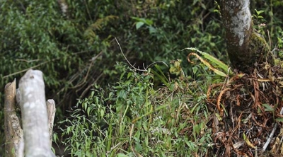 student faces camera in Timor-Leste