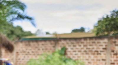 women in garden in Central African Republic