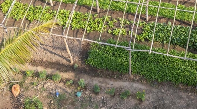 working greenhouse in Laos 