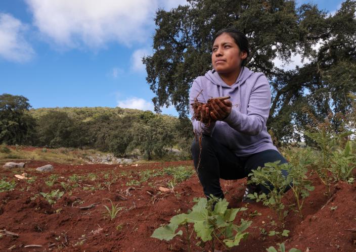 woman in her field in Mexico