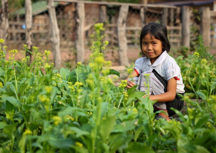 Una niña sentada en medio de un campo de flores amarillas.
