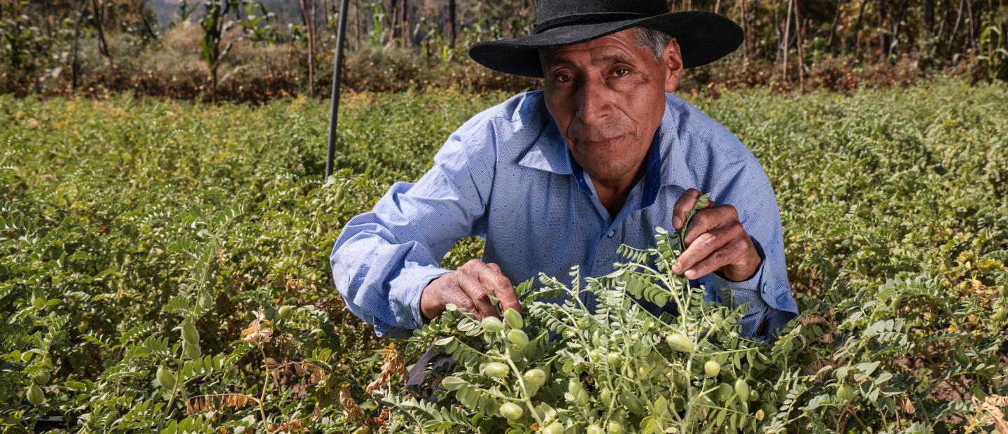 Regenerative agriculture rebuilds and protects soil so that it can continue to be productive.