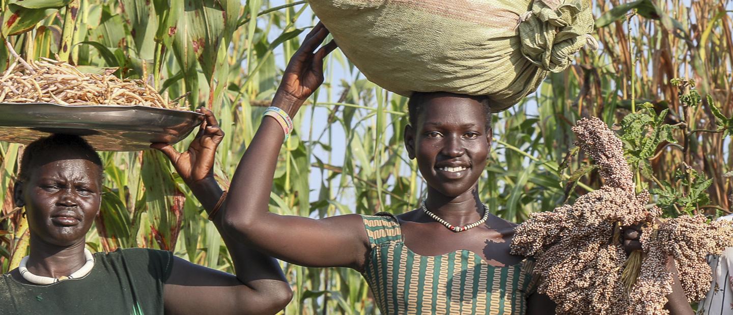 3 women carrying crops.