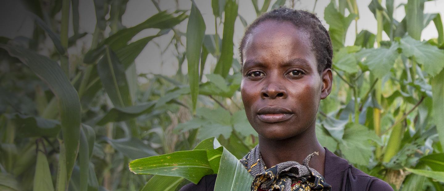 A woman in the corn field.