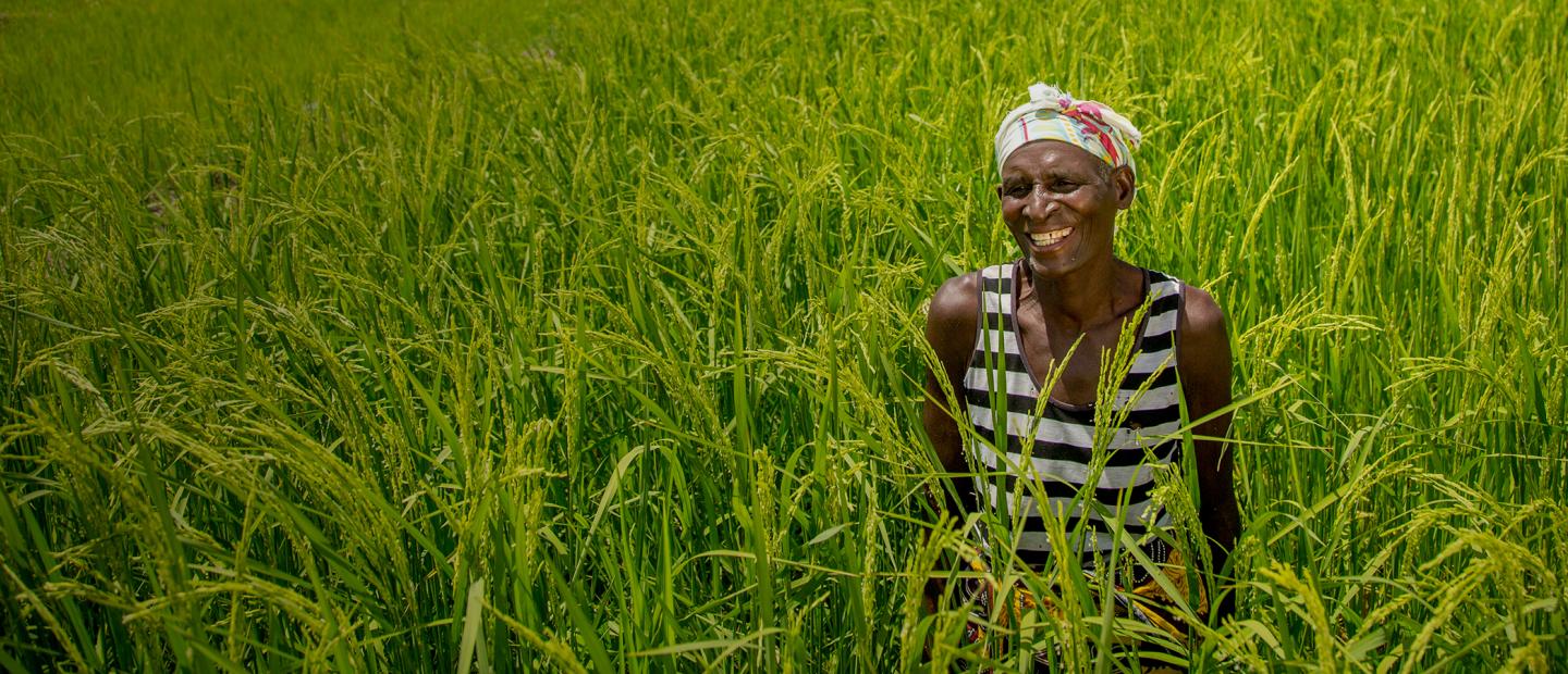 woman in green field