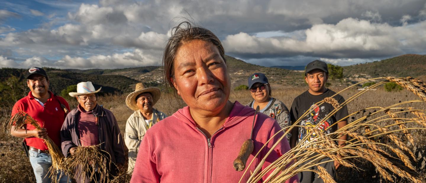 Grupo de agricultores en un campo de trigo