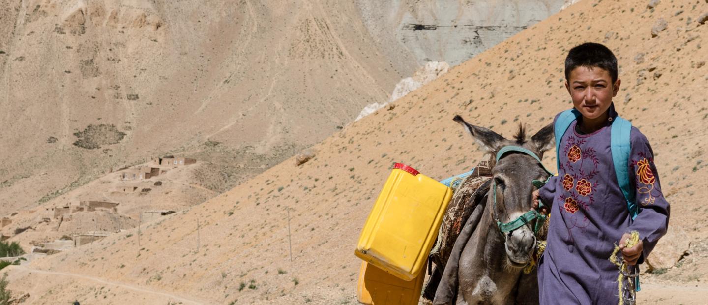 A boy walking with his donkey to collect water.