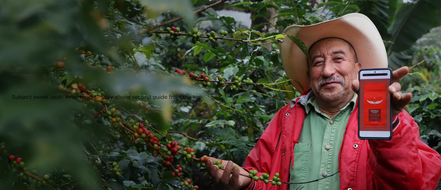man in coffee field holding phone
