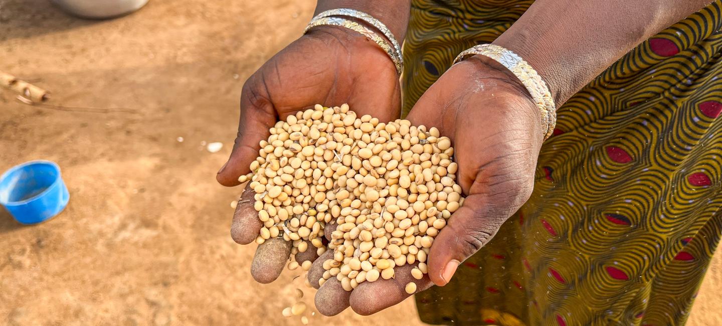 hnads holding soy beans for processing