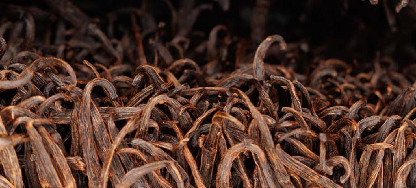 Vanilla beans