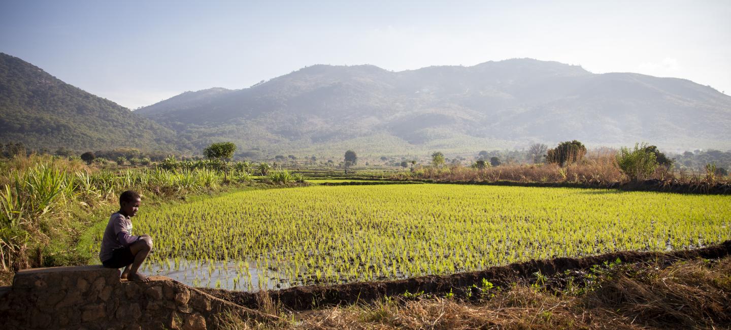 Farmers Restore Soil in Malawi