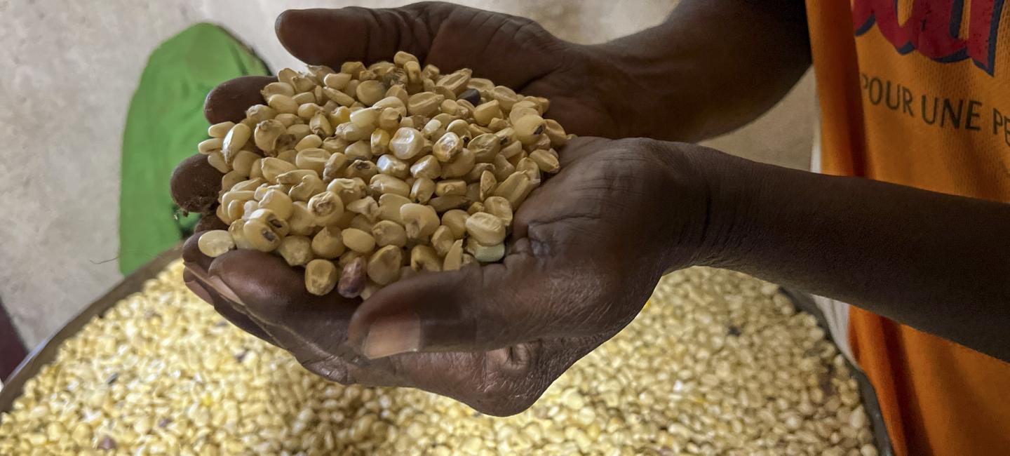 cupped hands holding grain