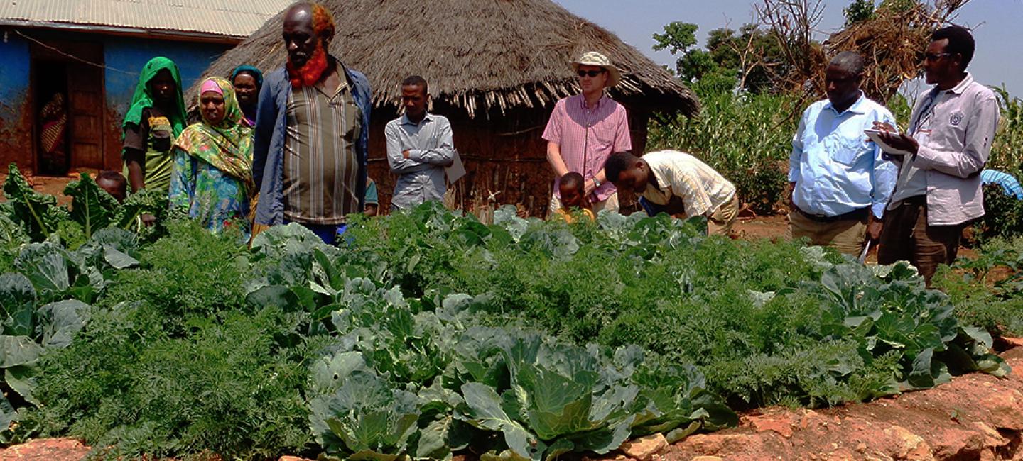 People walking around a farm.