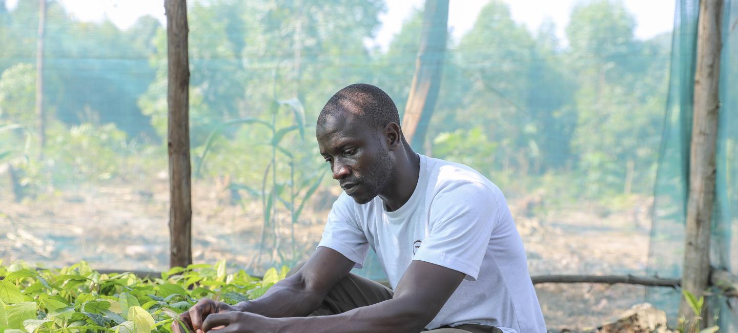 man crouching over plants
