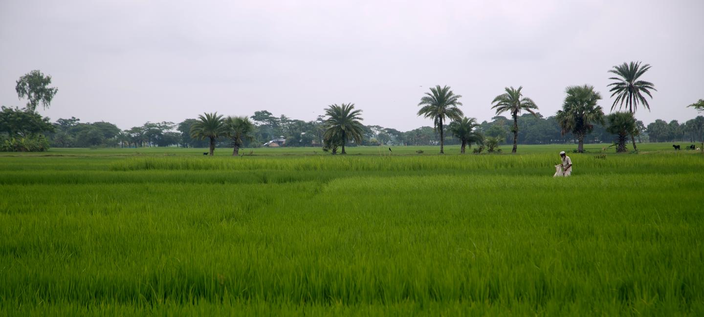 ban2013091936.jpg