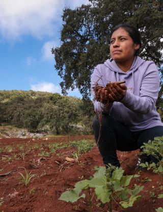 woman in her field in Mexico