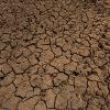 drought