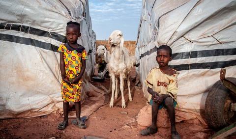 children and goats