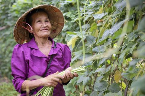 A woman gardening.