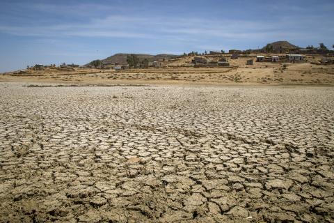 A reservoir in Tigray has dried up following a drought