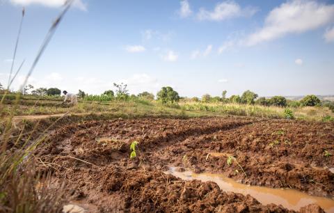 A farmer irrigating crops during the off season in Lingoni, Malawi