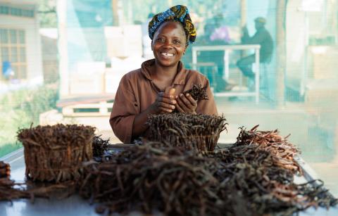 A worker sorts and packs vanilla for export.