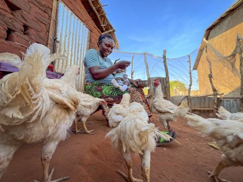 Judith Koumangou feeds her chickens at her home in the northwest of the Central African Republic