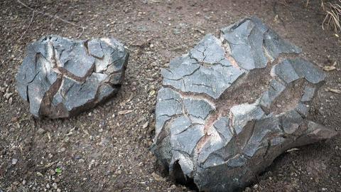 Rocks on the ground.