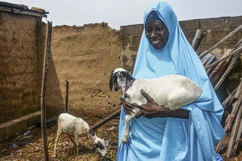 A woman in hijab holding a lamb.