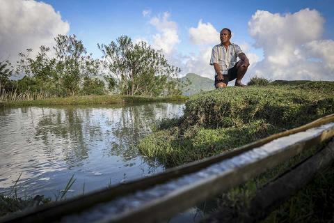 A man sitting by a pond.