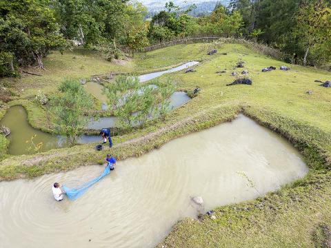 A pond and fisherman.