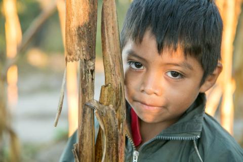 Retrato de un niño