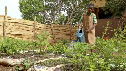 A child watering plants.