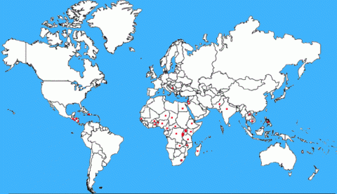 world map