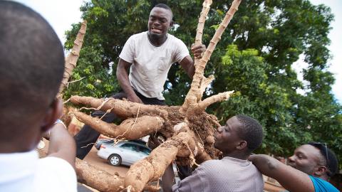 Men moving crops.