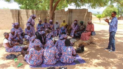 People sitting under a tree.