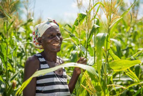 A woman by green crops.