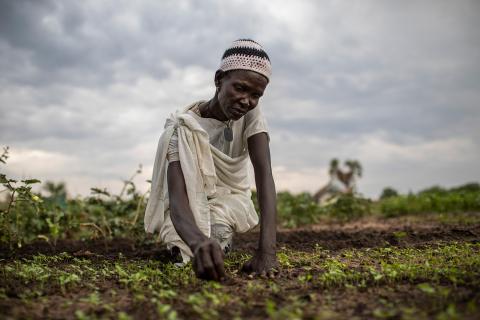 A woman planting seeds in a garden.