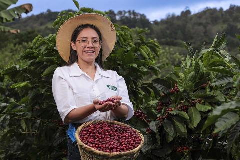 young woman with hat and basket shows the red coffee beans she's harvested