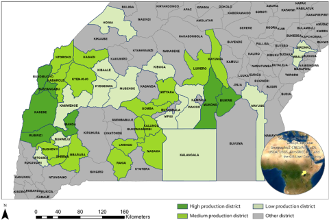 Uganda Vanilla production map
