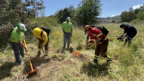 Hombres trabajando con herramientas en el bosque