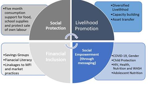 Malawi Graduation Model infographic