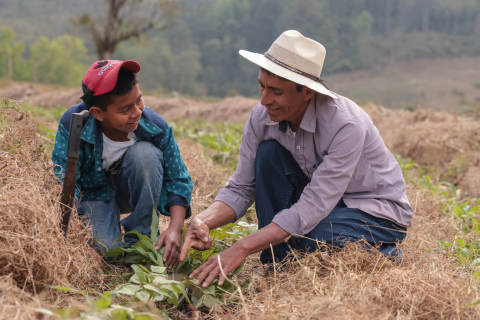 Un hombre y un niño con plantas en un campo