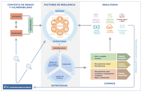 Marco de resiliencia de CRS