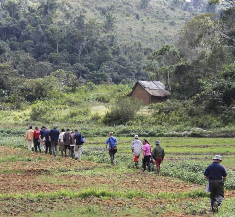 CRS fellows walking in Madagascar