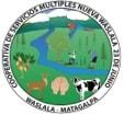 Nueva Waslala logo