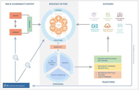 Resilience conceptual model