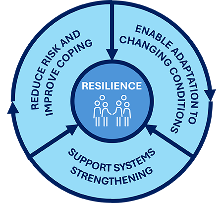 Resilience framework cycle graphic