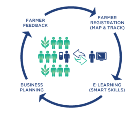 smart skills graphic