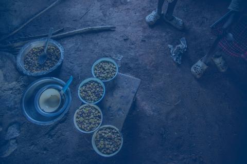 Food bowls on the ground.